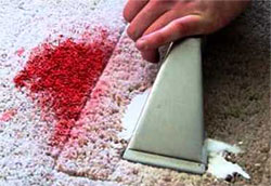 Removing paint drips from the carpet